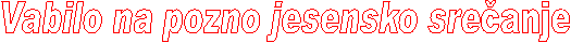 Vabilo na pozno jesensko sreanje
